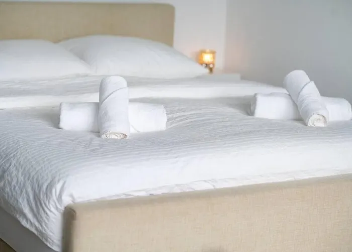 Near Coast & Canals * 阿尔克马尔