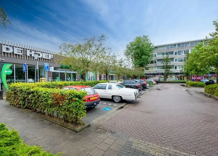 Near Coast & Canals 阿尔克马尔